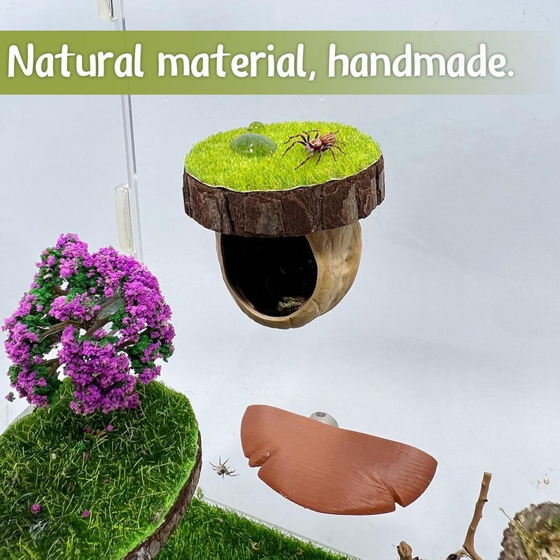 Daerky Jumping Spider Hideout - Magnetic Hiding Habitat, Climbing Platform, Handmade Fence Accessory From Natural Materials, Suitable for Small Insects - Image 2
